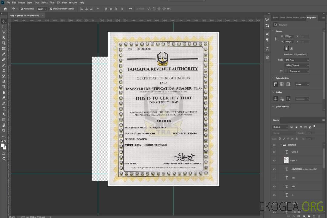 TANZANIE Certificat d'enregistrement du numéro d'identification fiscale (NIF) template